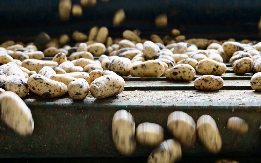 Communiqué de Presse JARDIN DE LIMAGNE – FERME DES VOLCANS